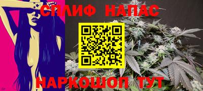 apvp Кунгур