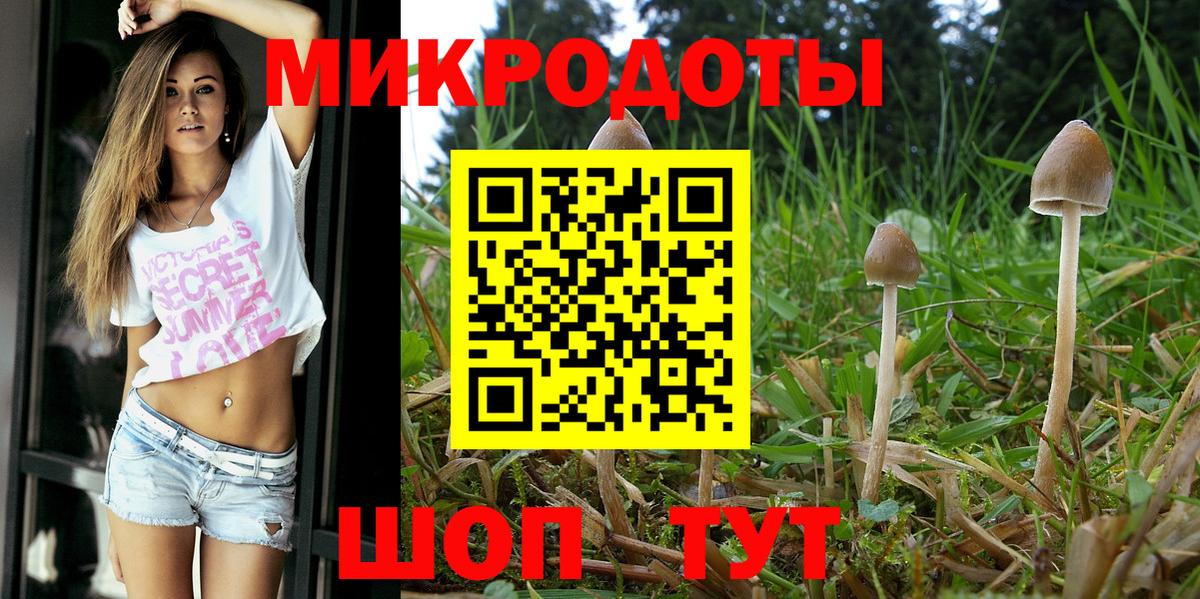Псилоцибиновые грибы GOLDEN TEACHER Якутск