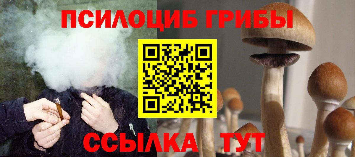Галлюциногенные грибы мицелий  Галлюциногенные грибы Psilocybine cubensis  купить наркоту  Вход с VPN  Якутск 